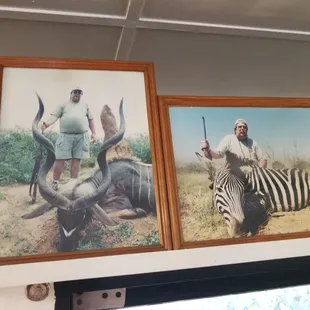 Lots of dead animal pictures.