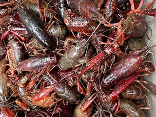 Louie Louie Seafood Market