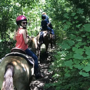 You'd think we were in a tropical forest by the looks of it