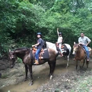 Great horse adventure with the kiddos