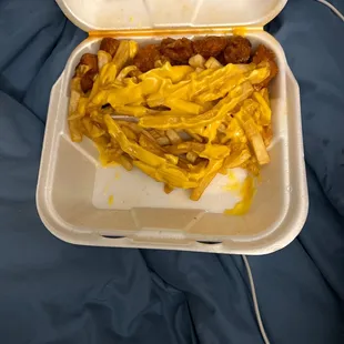 Buffalo Wing Sauce ,Cheese Fries