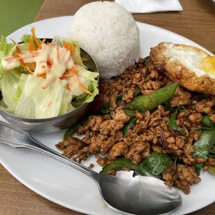 Thai Style Basil Chicken