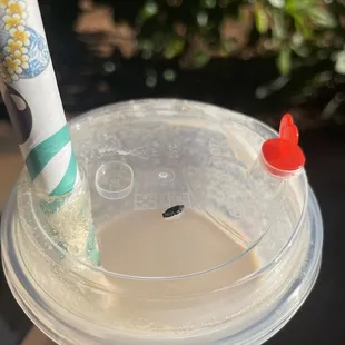 That plastic was inside my drink and I almost swallowed it!