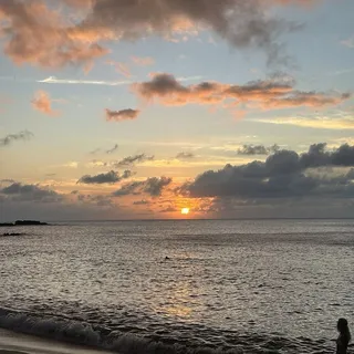 Mahina M.