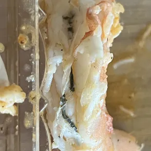 Massive poop vein inside shrimp