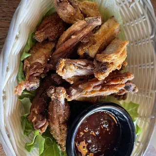 Saap Wings