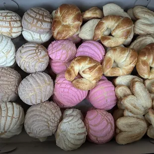 Over 80 pieces of mini pan!