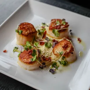 Scallops