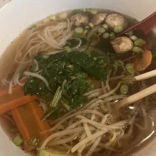 This was gluten free vegan veggies Pho Bowl. Delicious, Hot and Fresh.