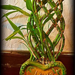 Cute table decorative.