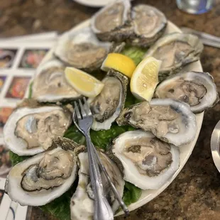 mussels, food, oysters and mussels, shellfish, oysters