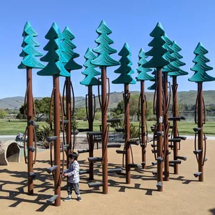 Trees climbing structure