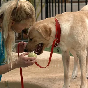 Dog trainer on site!