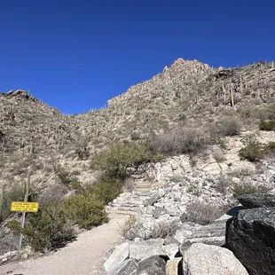 The trail at stop #9