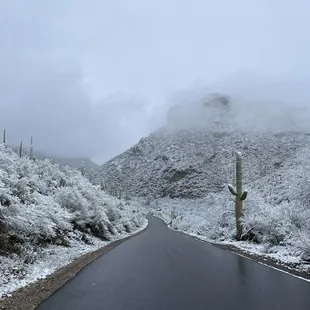 Snow in Sabino Canyon
