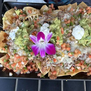 Birria nachos