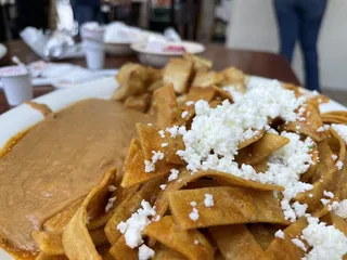 Losoya's Taqueria