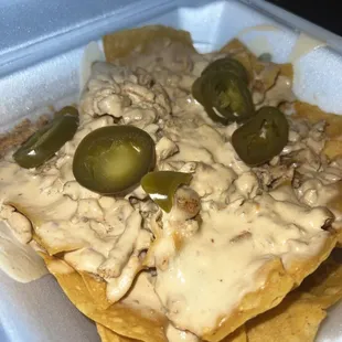 Spicy Nachos but my mom said it wasn't spicy