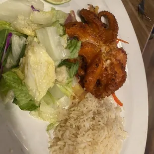 Octopus