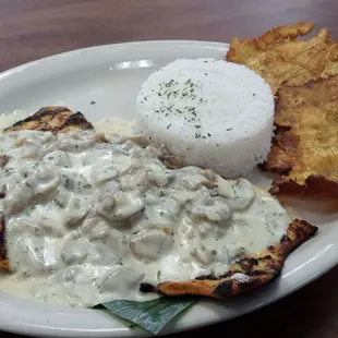 Chicken with mushroom sauce, plantains and rice.