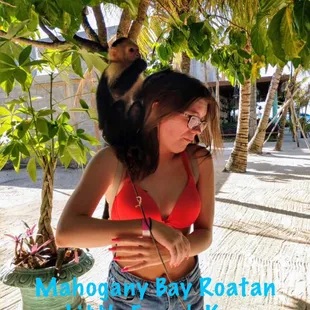 Mahogany Bay Roatan 
Little French Key