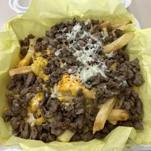 Full order carne asada fries