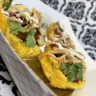 two tacos on a plate