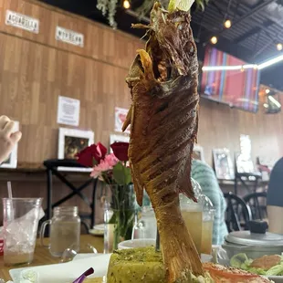 Fried Chillo and the mofongo!!!