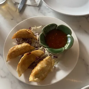 Chicken Pot Stickers