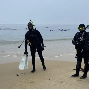 Monterey, CA  Dive location: Breakwater cove