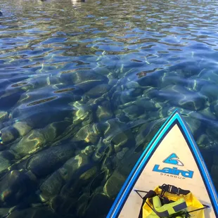 Beautiful day to hit the water.
