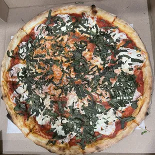 Margherita Pizza