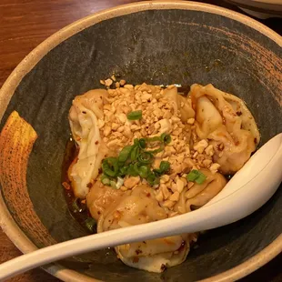 Spicy Wonton Dumplings
