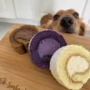 a dog looking over a cutting board