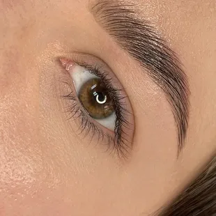 Sacramento Brows