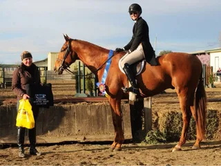Cheval Farm