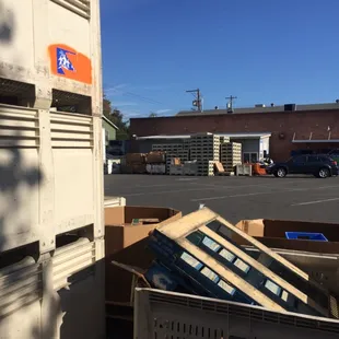 Turkeys have been distributed