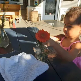 Flower arranging on a nice summer morning.