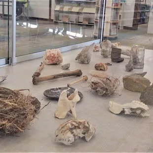 California nature on display.