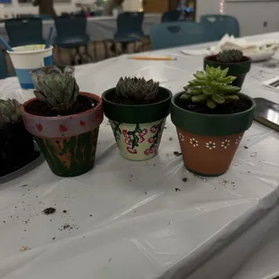 Paint and pot event