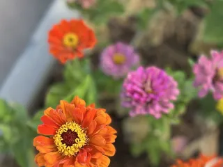 Sacramento Public Library - North Natomas