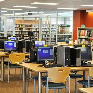 Adult computers