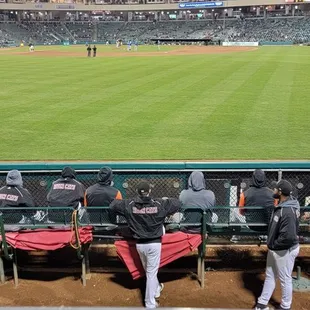 The River Cat in the Arm Barn (PETA's name for the Bull Pen)