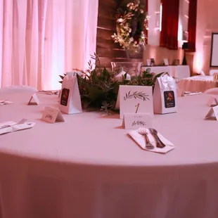 Turn Verein Sacramento Wedding Blush Soft Pink Uplighting | Brighten Up Event Lighting Florals by Esmae Event Floral Design