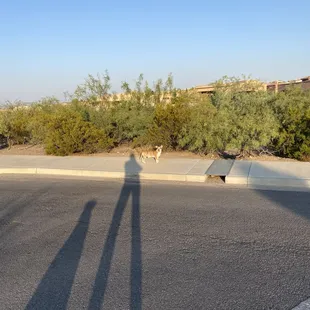 Looking for sacred gardens?