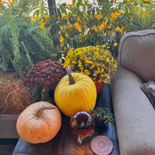 a coffee shop with pumpkins and flowers