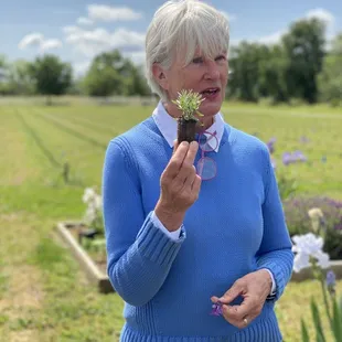 Farmer Sherri at Capay Valley Lavender