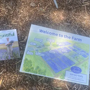 Capay Valley Lavender!