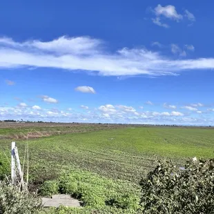 Hemly Cider - view from the tasting room
