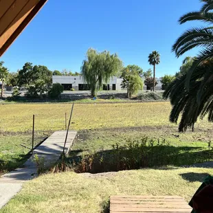 View from cabin